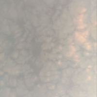 小原酱