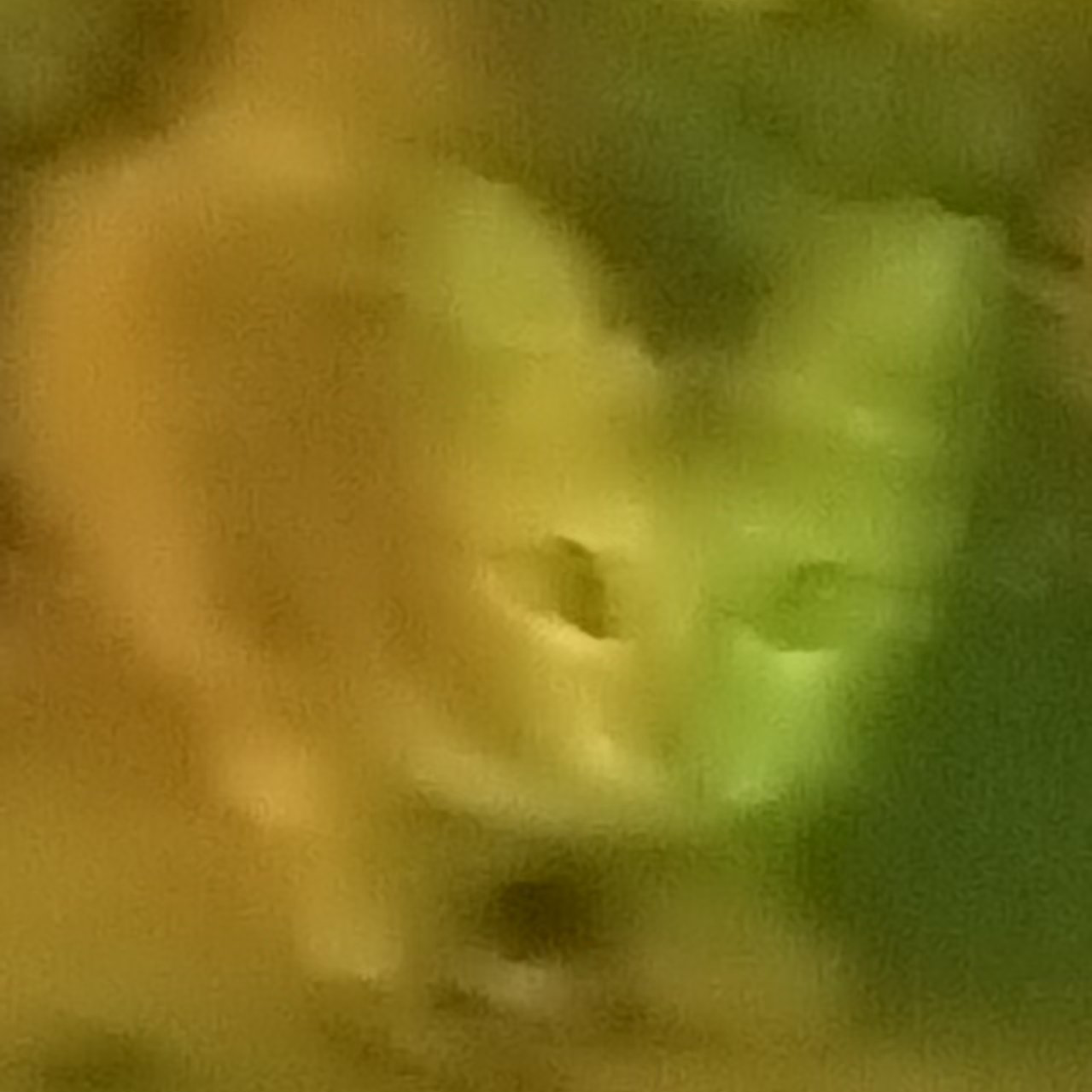 猫猫~10月2日图